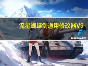 流星蝴蝶剑通用修改器 V9.07 绿色免费版（流星蝴蝶剑通用修改器 V9.07 绿色免费版功能简介）