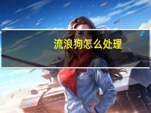 流浪狗怎么处理