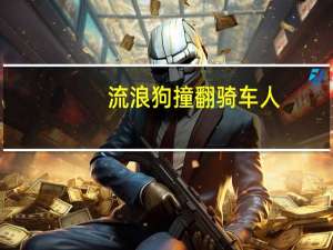 流浪狗撞翻骑车人，投喂者意外赔付六万
