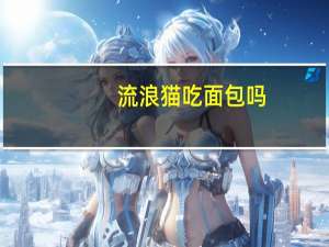 流浪猫吃面包吗