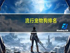 流行宠物狗排名