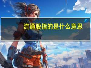 流通股指的是什么意思