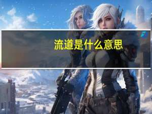 流道是什么意思