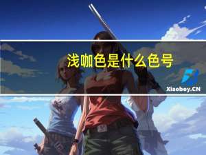 浅咖色是什么色号