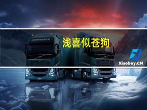 浅喜似苍狗,深爱如长风表达什么意思