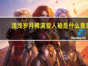 浅浅岁月拂满爱人袖是什么意思