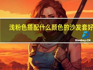 浅粉色搭配什么颜色的沙发套好看（浅粉色搭配什么颜色好看）