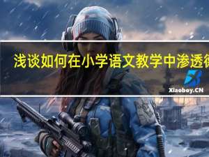 浅谈如何在小学语文教学中渗透德育