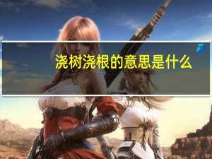 浇树浇根的意思是什么