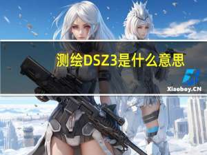 测绘DSZ3是什么意思