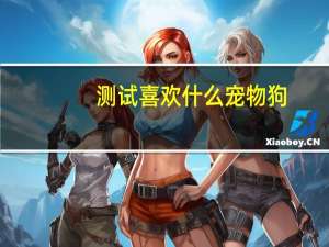 测试喜欢什么宠物狗