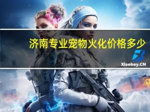 济南专业宠物火化价格多少