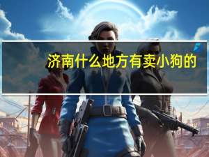 济南什么地方有卖小狗的