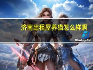 济南出租屋养猫怎么样啊