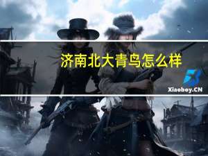 济南北大青鸟怎么样