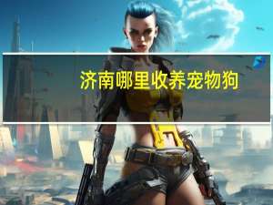 济南哪里收养宠物狗