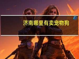 济南哪里有卖宠物狗