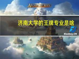 济南大学的王牌专业是啥
