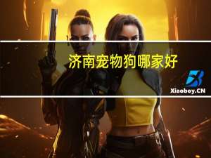 济南宠物狗哪家好