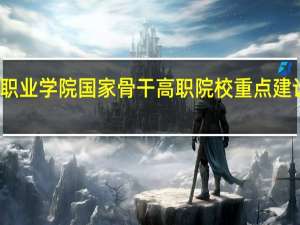 济南职业学院国家骨干高职院校重点建设专业名单