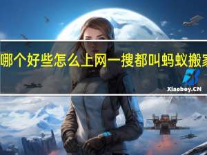 济南蚂蚁搬家到底哪个好些怎么上网一搜都叫蚂蚁搬家了 济南搬家公司哪家好