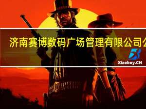 济南赛博数码广场管理有限公司公章（济南赛博数码广场管理有限公司）