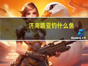 济南路亚钓什么鱼