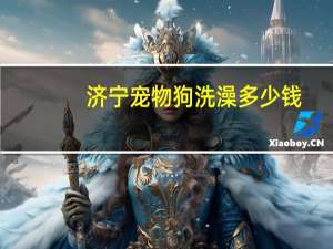 济宁宠物狗洗澡多少钱