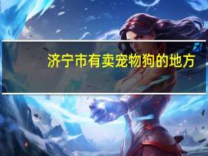 济宁市有卖宠物狗的地方