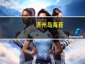 济州岛 海苔(芥末味)的热量是多少