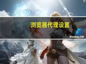 浏览器代理设置（代理设置）