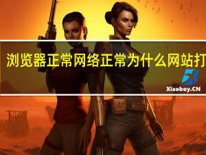 浏览器正常网络正常为什么网站打不开（为什么网站打不开）