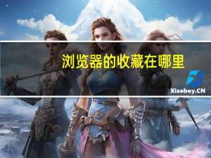 浏览器的收藏在哪里
