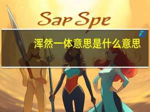 浑然一体意思是什么意思（浑然一体简介）