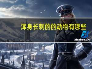 浑身长刺的的动物有哪些