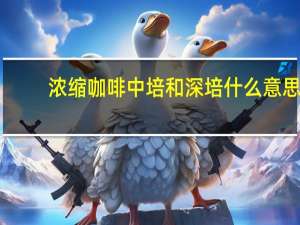 浓缩咖啡中培和深培什么意思