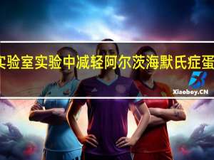 浓缩咖啡在实验室实验中减轻阿尔茨海默氏症蛋白质的聚集和缩合