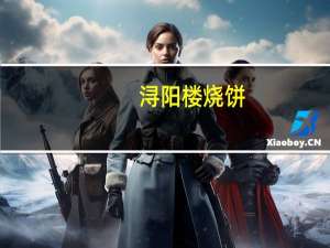 浔阳楼 烧饼(福瑞饼)卡路里是多少