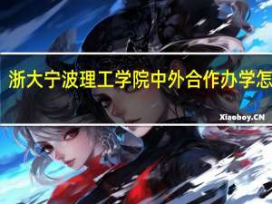 浙大宁波理工学院中外合作办学怎么样