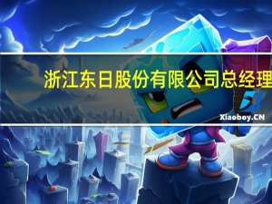 浙江东日股份有限公司总经理（杨澄宇-浙江东日股份有限公司副董事长介绍）