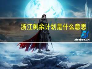 浙江剩余计划是什么意思