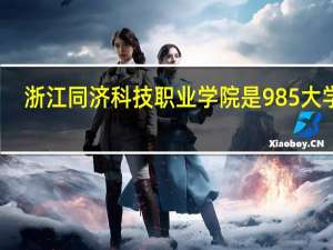 浙江同济科技职业学院是985大学吗