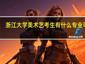 浙江大学美术艺考生有什么专业可选