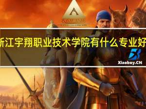 浙江宇翔职业技术学院有什么专业好就业吗