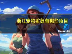 浙江宠物殡葬有哪些项目