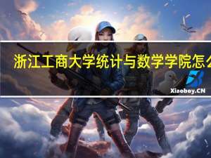 浙江工商大学统计与数学学院怎么样