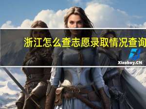 浙江怎么查志愿录取情况查询