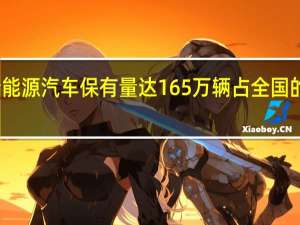 浙江新能源汽车保有量达165万辆占全国的比重超一成