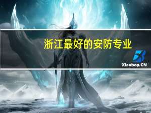 浙江最好的安防专业