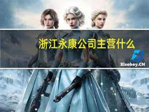 浙江永康公司主营什么